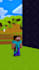create professional minecraft animation
