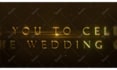 make a high end royal wedding invite video