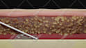 make 3d and 2d medical animated videos