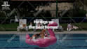create this funny video ad of dogs chilling at the pool
