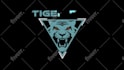 create high end custom logo animation for modern brands