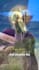 create funny viral memes and meme videos for social media