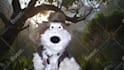 have the coolest puppets create a custom video