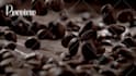 create cinematic corporate videos and brand promos