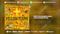 do a lyrics music visualizer for youtube and instagram
