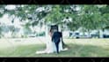 do wedding video and wedding highlight video editing