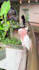 do professional capcut edit for you