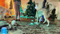 do professional video editing and documentary video