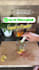 create a ugc video for your social media or paid ads