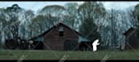 do rotoscope animations starting from your video, drawn frame per frame