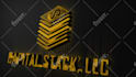 create logo animation and youtube intro video within 24hrs