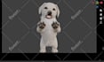 design and build 3d pixar style animations for you