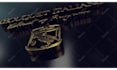create a 3d glossy metal reveal