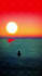 animate your cover art for spotify canvas or social media