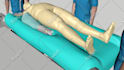 do a 3d model or a 3d animation