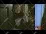 create trailer , teaser and music video for your movie