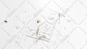 create a premium 2d or 3d logo animation for your business