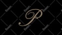 do custom logo and text animation