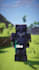 create a viral minecraft tiktok for your server