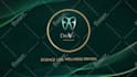 create pro motion graphics, promo and explainer videos
