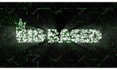 create digital data code matrix logo, text, image reveal