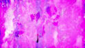 produce dj visuals for your techno dj set and vj music video loop