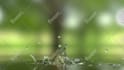 create water dropping logo animation 4k