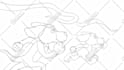create a unique high quality 2d animation