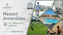 design and animate flyer, banner, poster animation  and ad banner animation