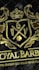 create elegant metallic gold, silver, platinum 3d logo reveal intro animation