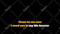 create your karaoke lyric video