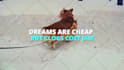 make an animated lyric video for your song