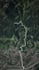 turn gpx or strava file into an animated map