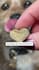 create ugc dog video ads for tiktok facebook instagram reels