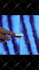 create animated video ads motion graphic for facebook