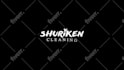 create professional custom logo animation intro video