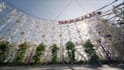 create a custom disney trip reveal video in the voice of mickey mouse