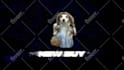 design banner, poster, flyer for your meme coin, crypto, business