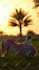 do professional social media video editing
