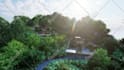 design your garden, backyard, swimming pool, patio , terrace