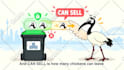 create your 2d cartoon character animation video