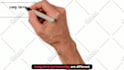 animate a professional custom whiteboard animation explainer video