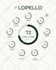 design animated motion flyers and static flyers, posters