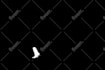 do vfx high quality pixel perfect rotoscoping, roto,keying quickly