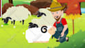 create engaging animated wedding invitation, love story