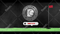 create a stunning custom logo animation or video intro