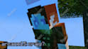 do a minecraft animation story