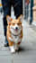 do automated cash cow videos, cash cow faceless youtube video