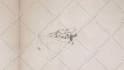 create hand drawn lyric video