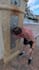 edit, stitch, reframe your insta360, gopro, dji osmo, videos
